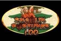 Shaolin Fortunes 100 Slot Review